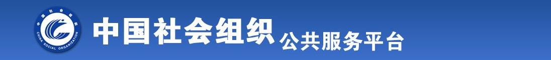 艹美女的骚逼全国社会组织信息查询